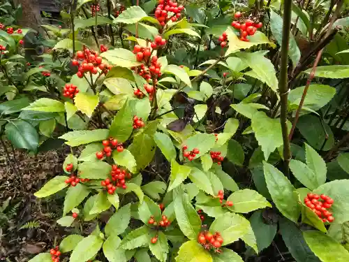 弘仁寺(奈良県)