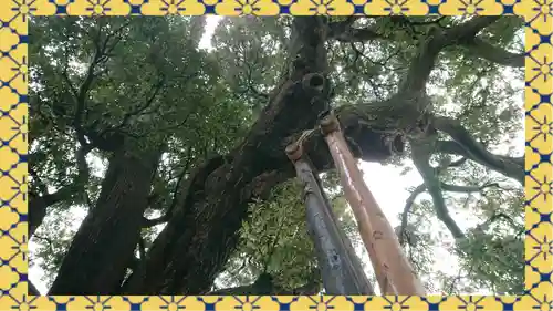 九重神社(埼玉県)