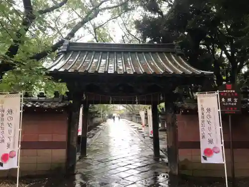 上野東照宮の山門