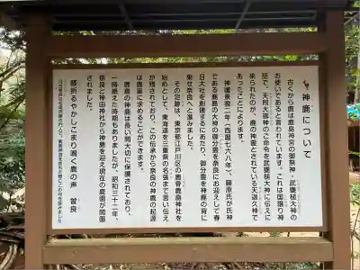 鹿島神宮(茨城県)