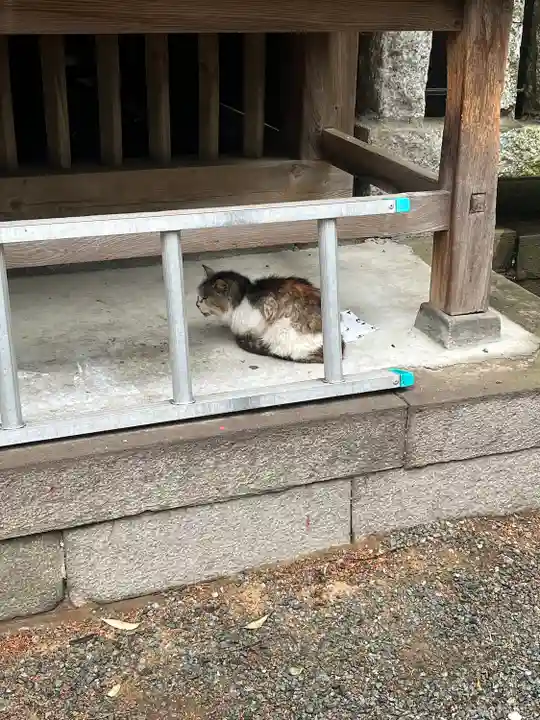 小坂子八幡神社(群馬県)