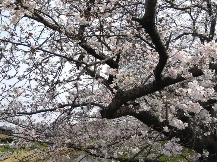 八面神社(愛知県)