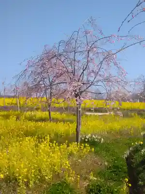 巳徳神社の周辺