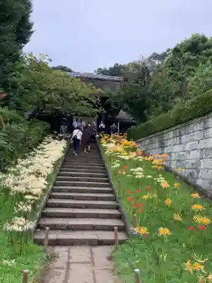 横浜 西方寺の山門・神門