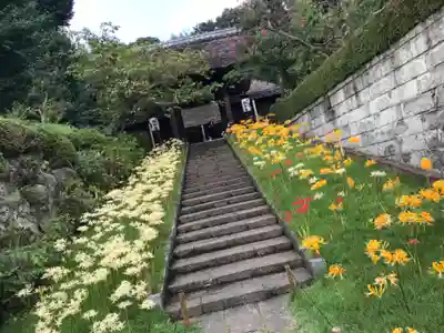横浜　西方寺のその他建物