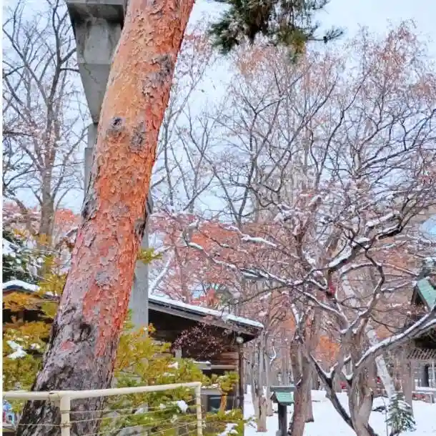 彌彦神社 (伊夜日子神社)の自然