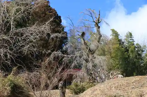 関場神社の景色