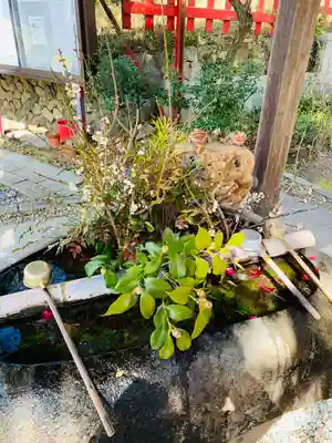 伏見稲荷大社(京都府)