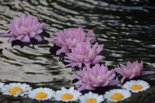 大鏑神社の手水