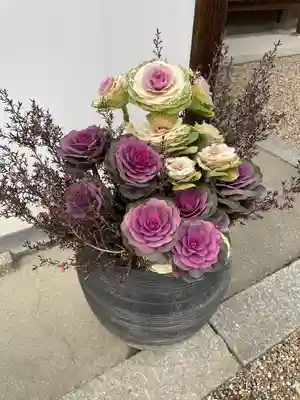 最勝院(京都府)