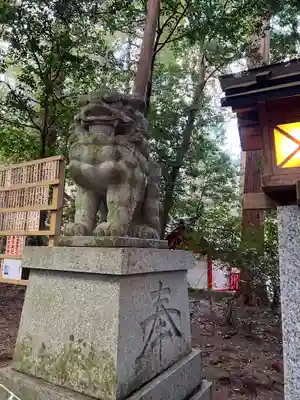 椿大神社の狛犬