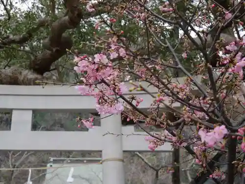 御霊神社の自然
