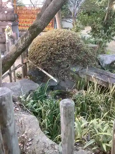 成蓮院の庭園