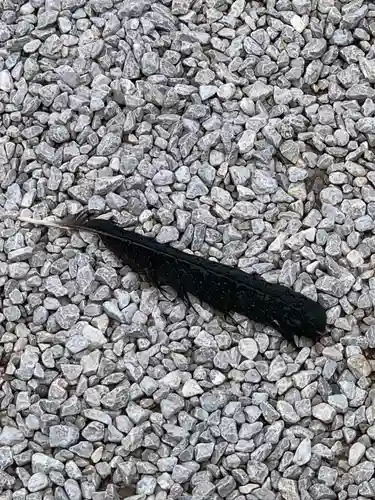 師岡熊野神社(神奈川県)