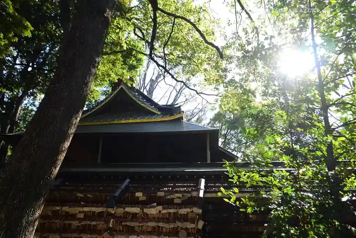 川越氷川神社(埼玉県)