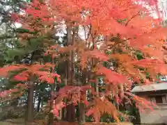 都々古別神社(八槻)の自然