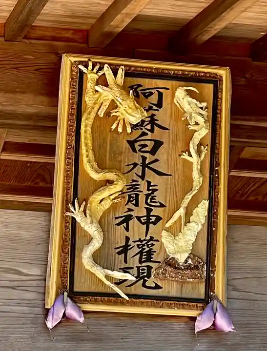 熊本 阿蘇白水龍神権現 白蛇神社 アクリル 御朱印帳 数量限定 6月限定御朱印付 熊本 阿蘇白水龍神権現 白蛇神社 アクリル 御朱印帳 数量限定 6