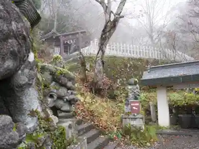 戸隠神社奥社(長野県)
