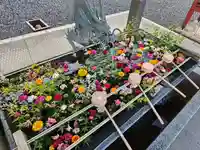 津観音(三重県)