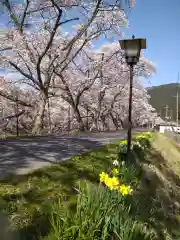 三上六所神社の自然