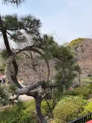 清水観音堂の{uncategorized: "未分類", other: "その他", undefined: "問題あり", building: "その他建物", grave: "お墓", sacred_gate: "鳥居", guardian: "狛犬", statue: "像", buddha: "仏像", history: "歴史", nature: "自然", garden: "庭園", animal: "動物", pagoda: "塔", temizu: "手水舎", mountain_gate: "山門・神門", sanctuary: "本殿・本堂", subordinate: "末社・摂社", art: "芸術", scenery: "景色", jizo: "地蔵", ema: "絵馬", goshuin: "御朱印", omikuji: "おみくじ", items: "授与品その他", amulet: "お守り", goshuincho: "御朱印帳", eats: "食事", festival: "お祭り", votive_dance: "神楽", shichigosan: "七五三参", wedding: "結婚式", experience: "体験その他", initially: "初詣", around: "周辺", anti_infection: "感染症対策"}