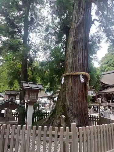 大神神社の御朱印