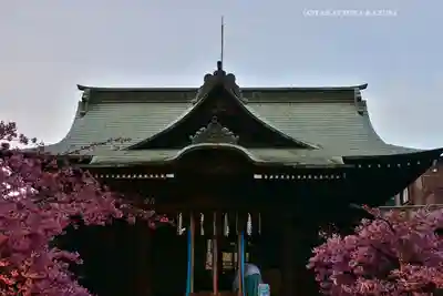 桜神宮(東京都)