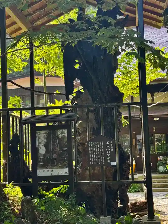 柳津虚空蔵尊 寳性院(宮城県)