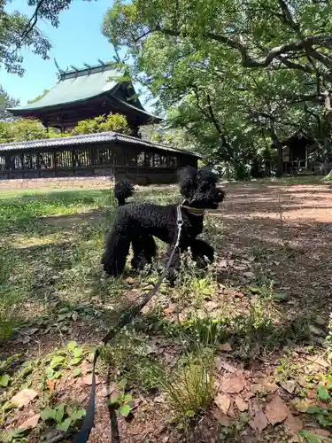 篠山神社の周辺