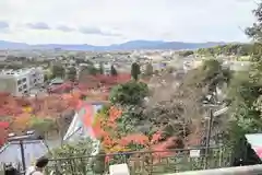 禅林寺（永観堂）(京都府)