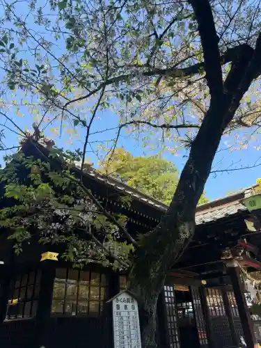 玉前神社の{uncategorized: "未分類", other: "その他", undefined: "問題あり", building: "その他建物", grave: "お墓", sacred_gate: "鳥居", guardian: "狛犬", statue: "像", buddha: "仏像", history: "歴史", nature: "自然", garden: "庭園", animal: "動物", pagoda: "塔", temizu: "手水舎", mountain_gate: "山門・神門", sanctuary: "本殿・本堂", subordinate: "末社・摂社", art: "芸術", scenery: "景色", jizo: "地蔵", ema: "絵馬", goshuin: "御朱印", omikuji: "おみくじ", items: "授与品その他", amulet: "お守り", goshuincho: "御朱印帳", eats: "食事", festival: "お祭り", votive_dance: "神楽", shichigosan: "七五三参", wedding: "結婚式", experience: "体験その他", initially: "初詣", around: "周辺", anti_infection: "感染症対策"}