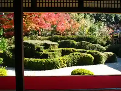 大池寺の庭園