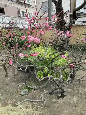 東光寺(神奈川県)