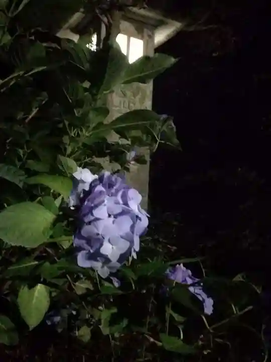 楽法寺(雨引観音)の自然