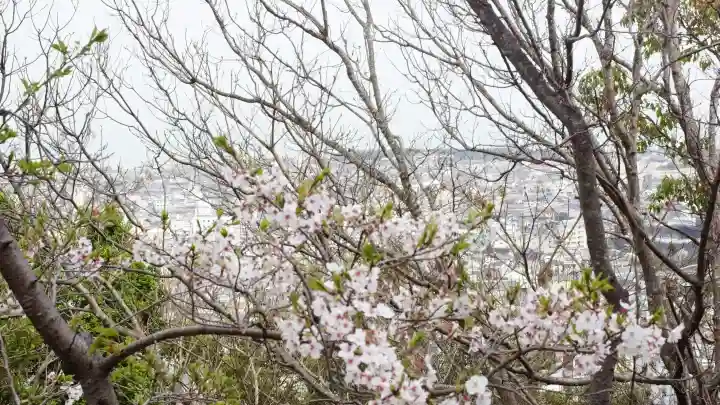 神倉神社(熊野速玉大社摂社)の{uncategorized: "未分類", other: "その他", undefined: "問題あり", building: "その他建物", grave: "お墓", sacred_gate: "鳥居", guardian: "狛犬", statue: "像", buddha: "仏像", history: "歴史", nature: "自然", garden: "庭園", animal: "動物", pagoda: "塔", temizu: "手水舎", mountain_gate: "山門・神門", sanctuary: "本殿・本堂", subordinate: "末社・摂社", art: "芸術", scenery: "景色", jizo: "地蔵", ema: "絵馬", goshuin: "御朱印", omikuji: "おみくじ", items: "授与品その他", amulet: "お守り", goshuincho: "御朱印帳", eats: "食事", festival: "お祭り", votive_dance: "神楽", shichigosan: "七五三参", wedding: "結婚式", experience: "体験その他", initially: "初詣", around: "周辺", anti_infection: "感染症対策"}