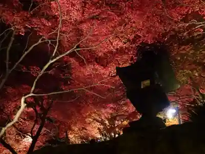 大山寺の自然