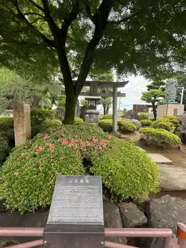 白山神社(埼玉県)