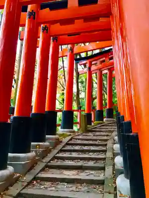 伏見稲荷大社の鳥居