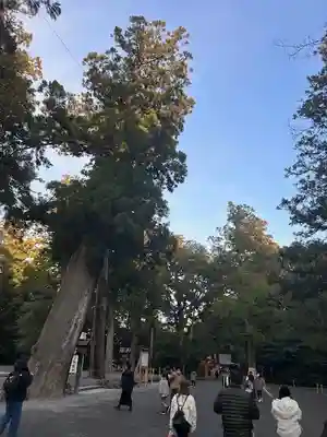 伊勢神宮外宮（豊受大神宮）(三重県)