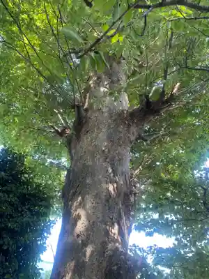三島八幡神社(福島県)