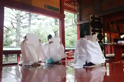 浅草神社のお祭り