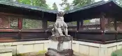 上杉神社の狛犬