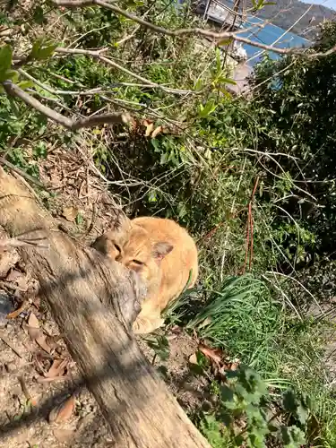 五香宮(岡山県)