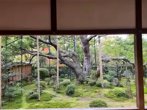 宝泉院(京都府)