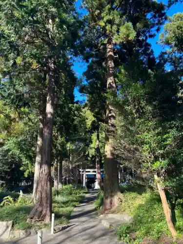 山宮浅間神社の鳥居