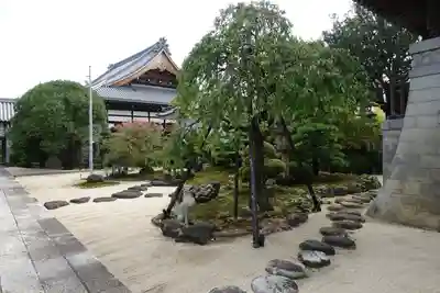 養泉寺の庭園