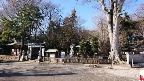 野木神社の景色