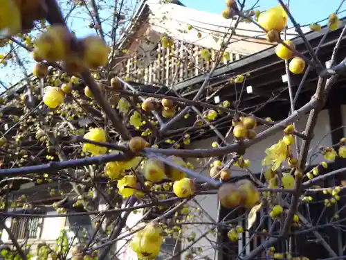 横浜　西方寺の自然