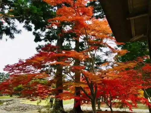 毛越寺の自然