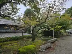 松尾寺(京都府)